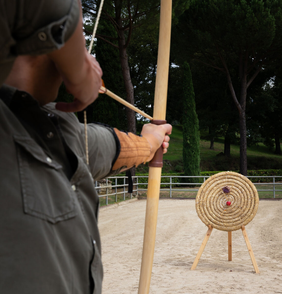 01 programma archery desktop