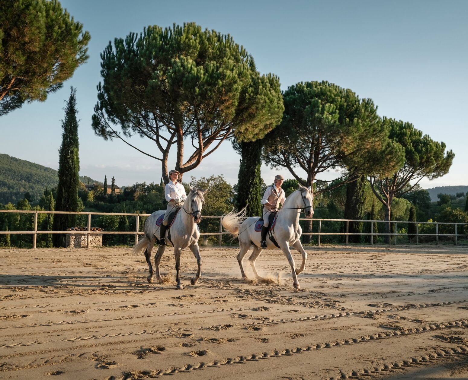 Training horses big