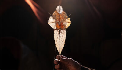 Card kite flying