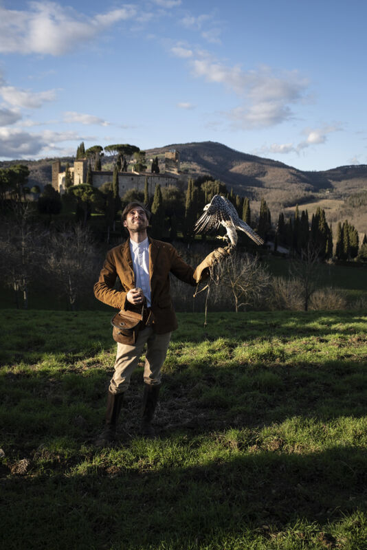 05 falconry gallery