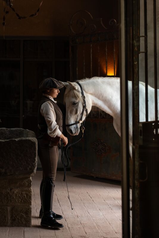 06 gallery horses